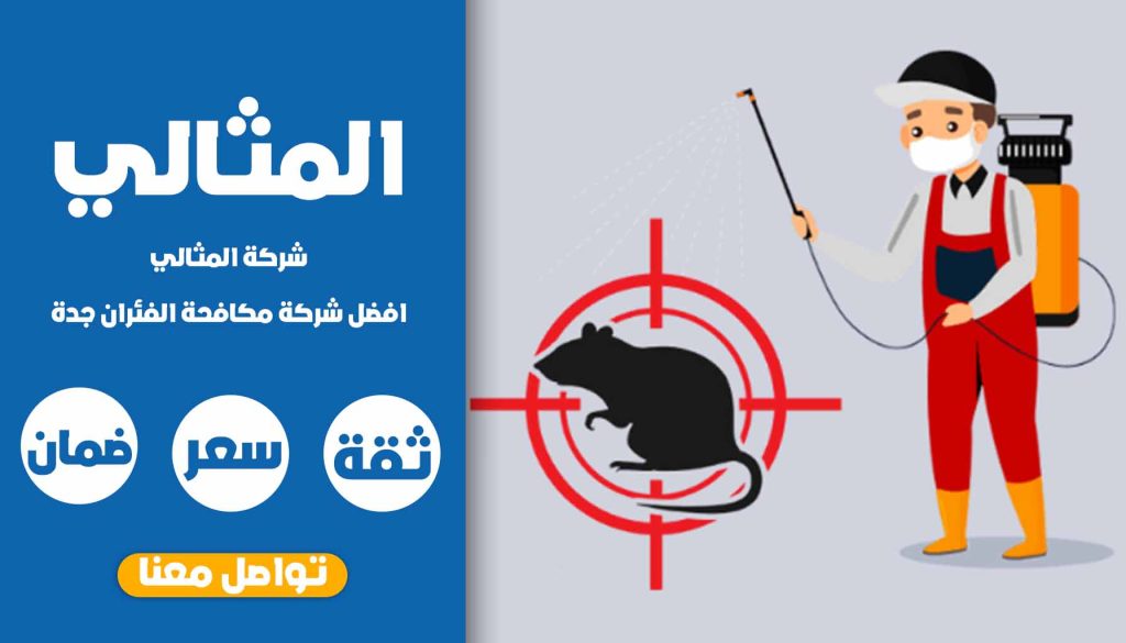 شركة مكافحة الفئران جدة